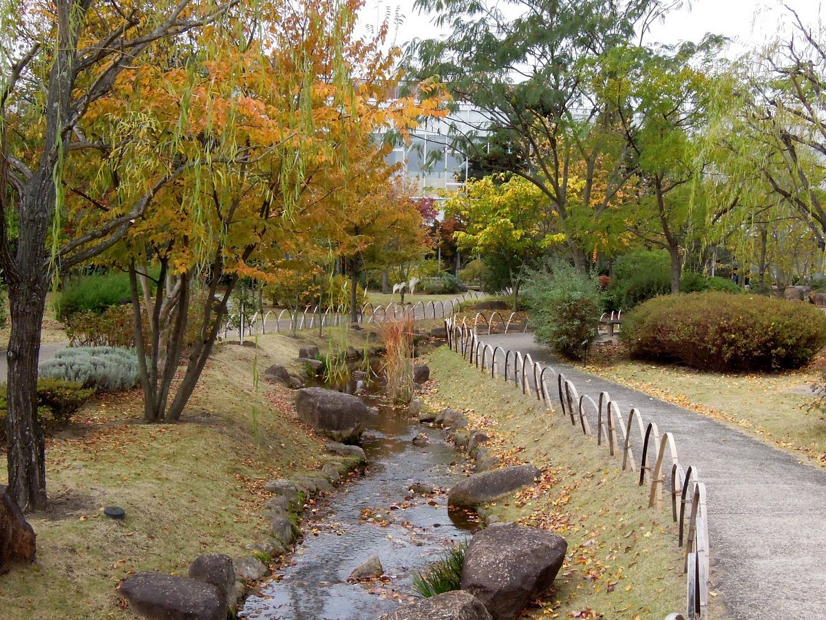 🏞️ 사이다이지 녹화 공원(사이다이지료쿠카코엔)